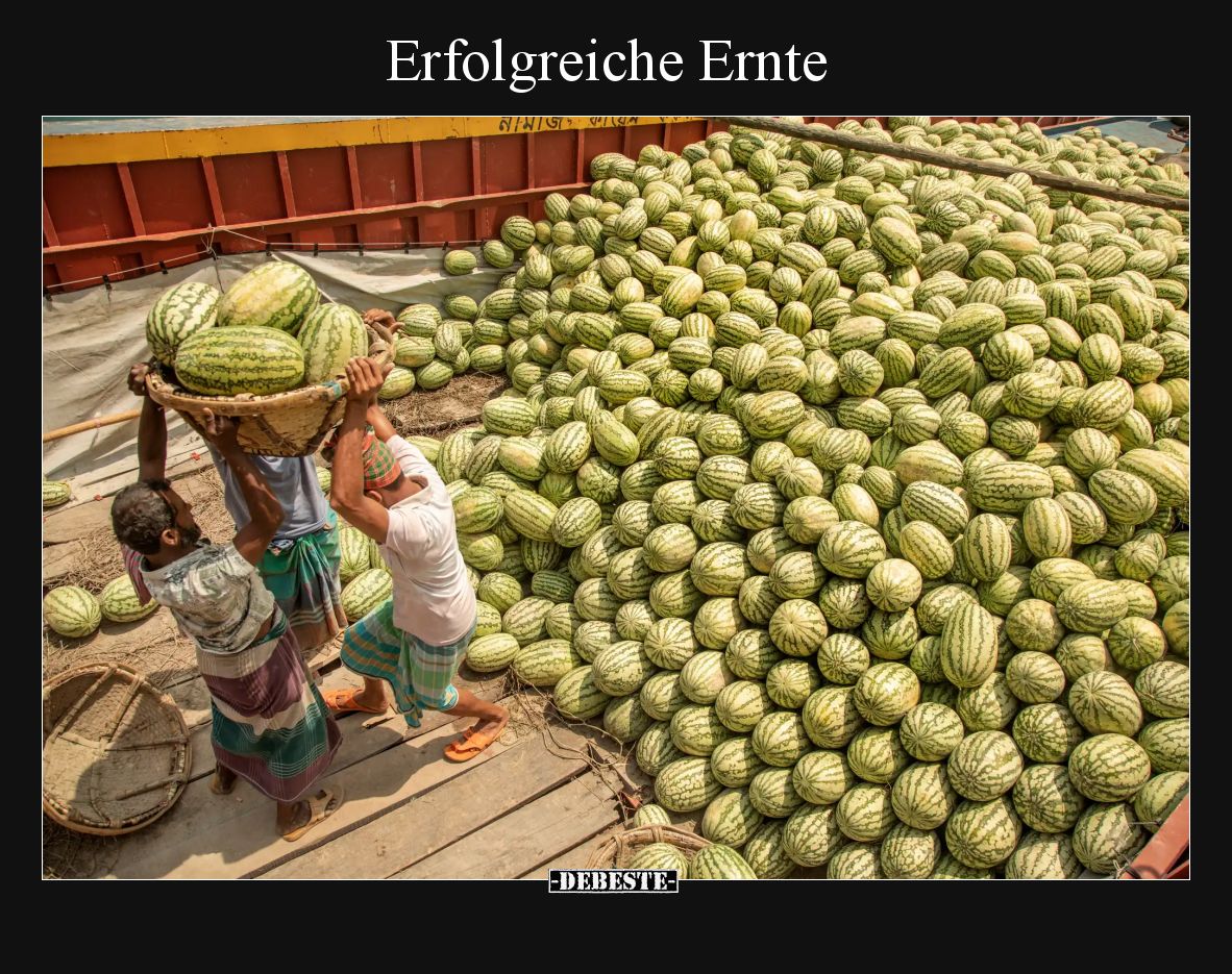 Erfolgreiche Ernte