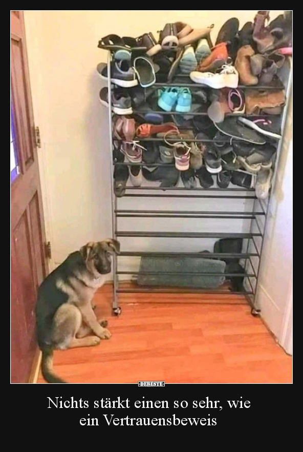 Nichts stärkt einen so sehr, wie ein Vertrauensbeweis..