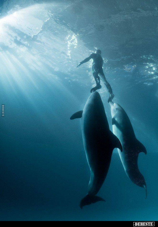  - Lustige Bilder | DEBESTE.de