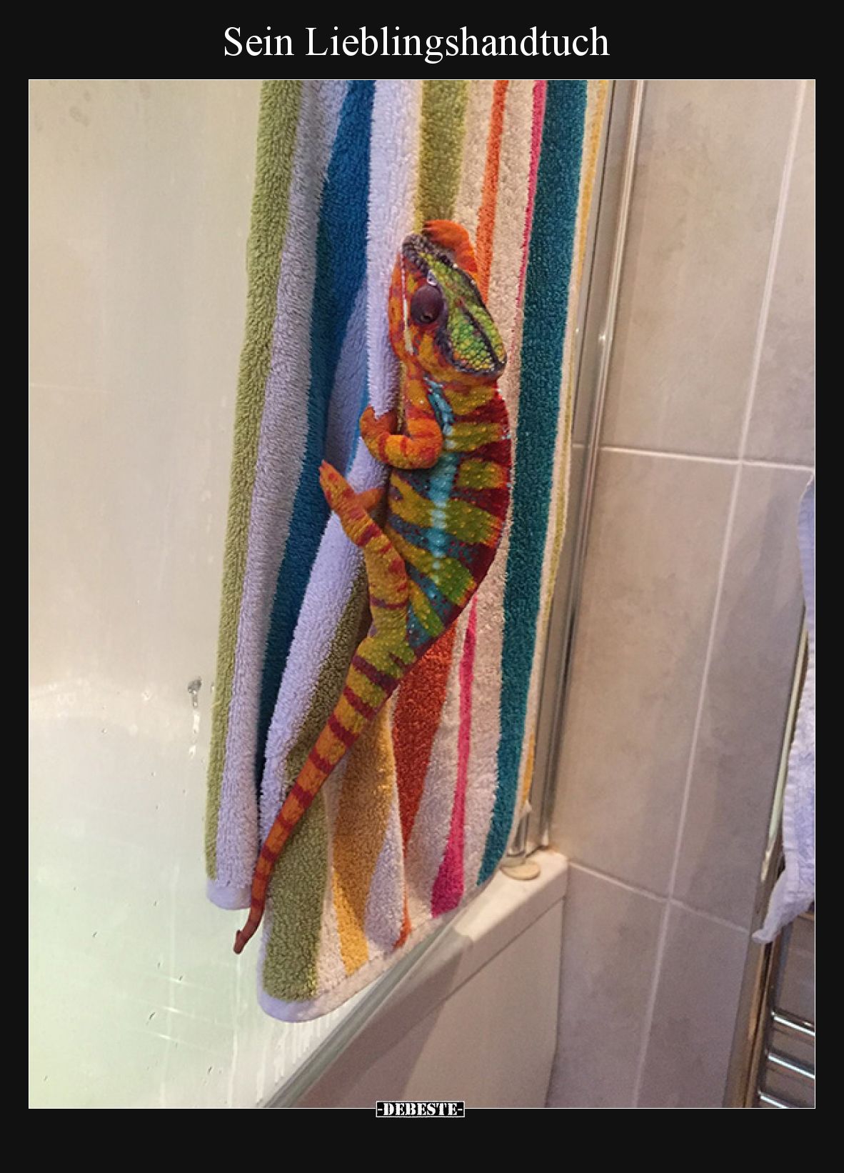 Sein Lieblingshandtuch