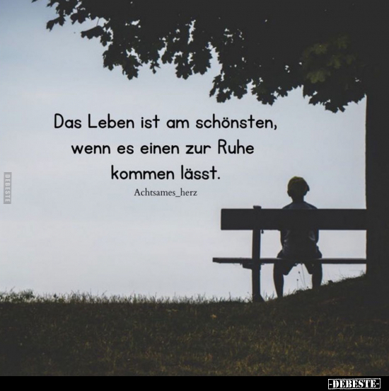  - Lustige Bilder | DEBESTE.de