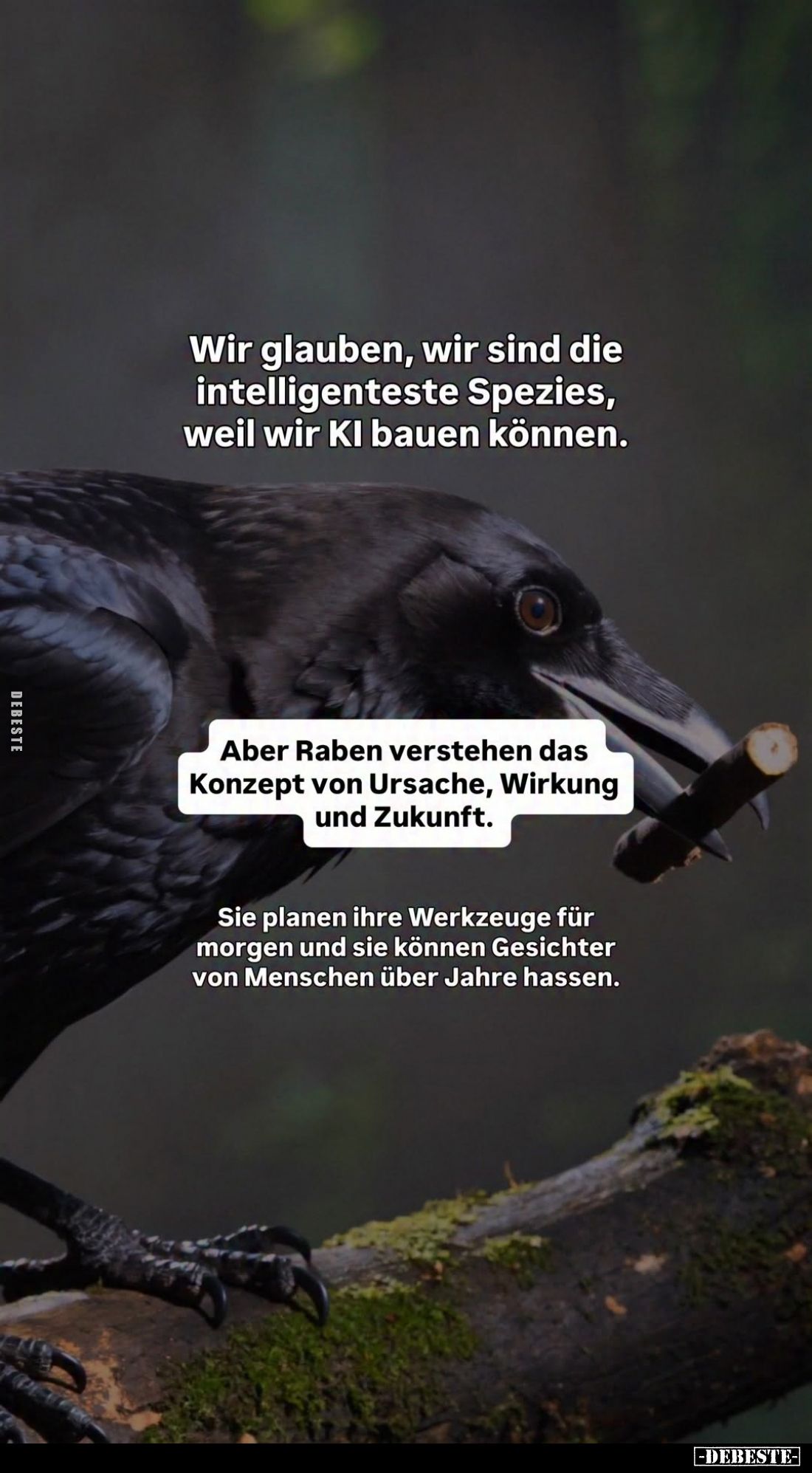 Wir glauben, wir sind die intelligenteste Spezies, weil wir KI bauen können.
Aber Raben verstehen das Konzept von Ursache, W...