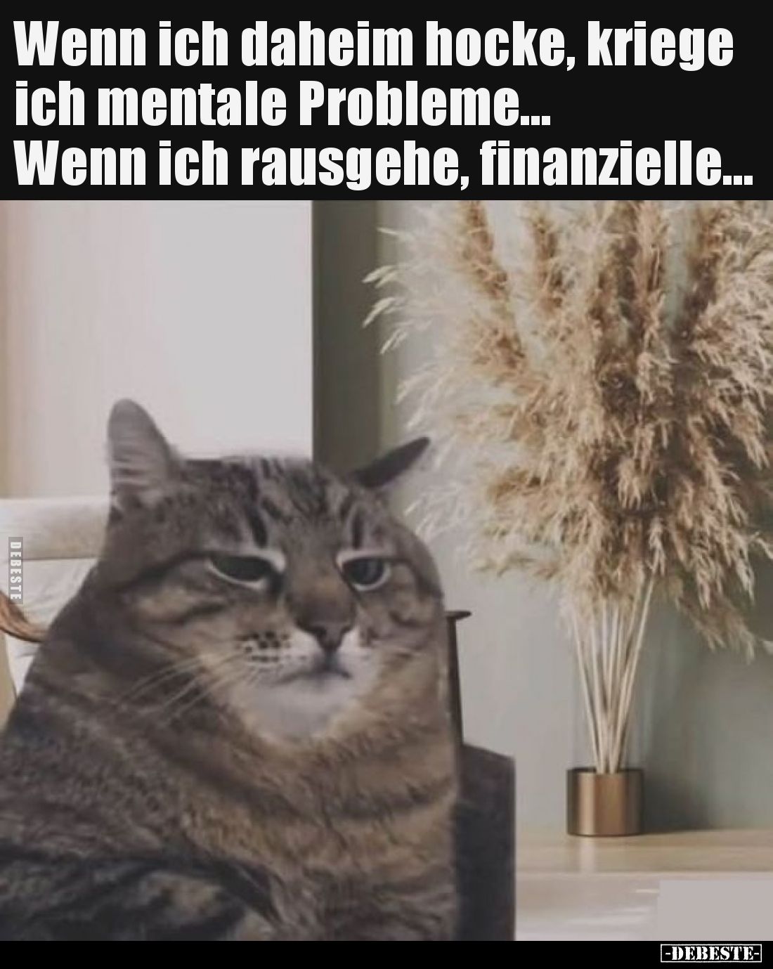 Wenn ich zu Hause bleibe, habe ich psychische Probleme…
und wenn ich rausgehe, finanzielle Probleme…
