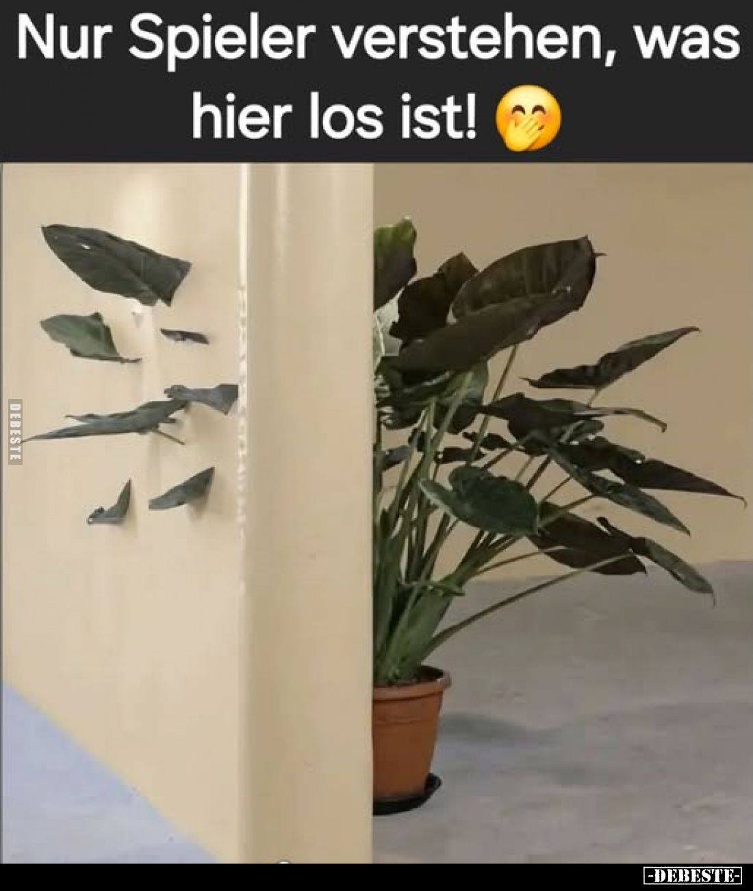 Nur Spieler verstehen, was hier los ist!