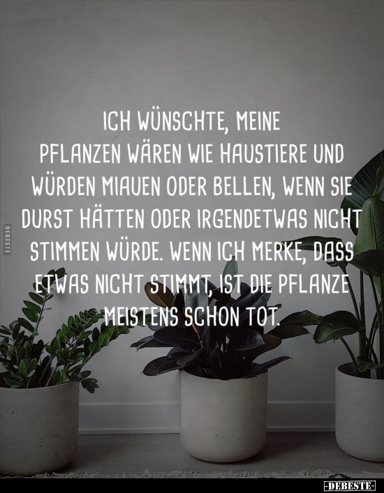 Ich wünschte, meine Pflanzen wären wie Haustiere und würden.. - Lustige Bilder | DEBESTE.de