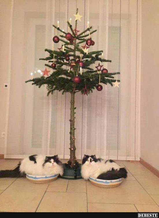 Sicherheit geht vor :)