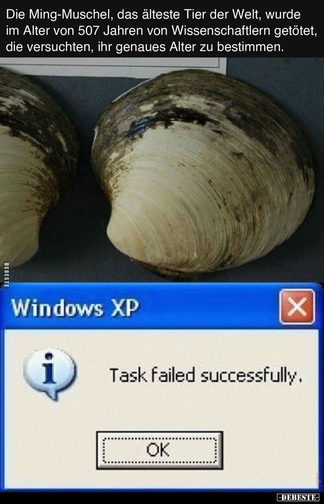 Die Ming-Muschel, das älteste Tier der Welt, wurde im Alter von 507 Jahren von Wissenschaftlern getötet, die versuchten, ihr ...