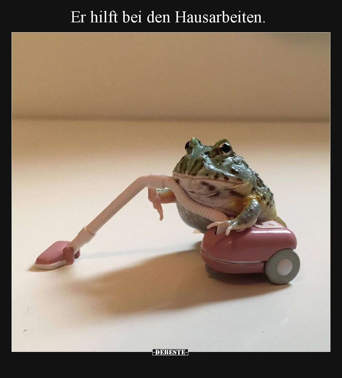 Er hilft bei den Hausarbeiten... - Lustige Bilder | DEBESTE.de