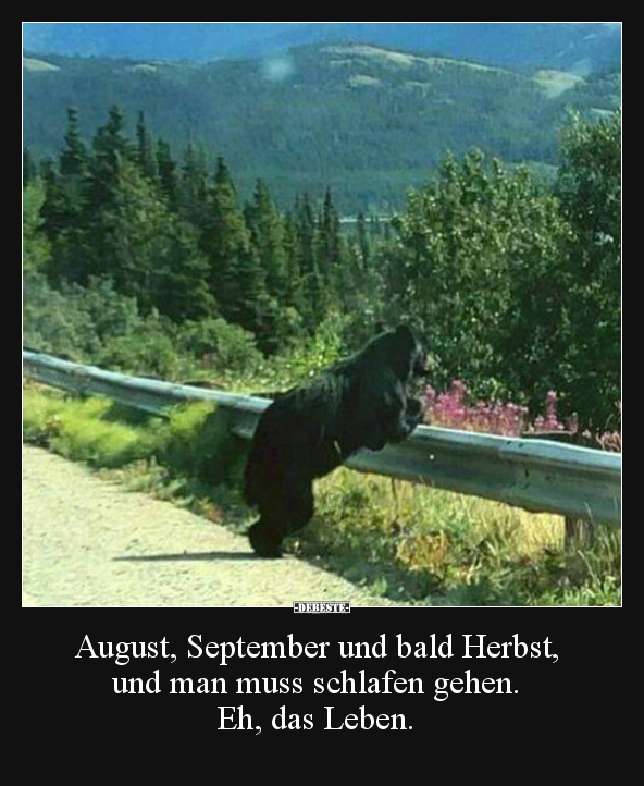 August, September und bald Herbst, und man muss schlafen.. - Lustige Bilder | DEBESTE.de