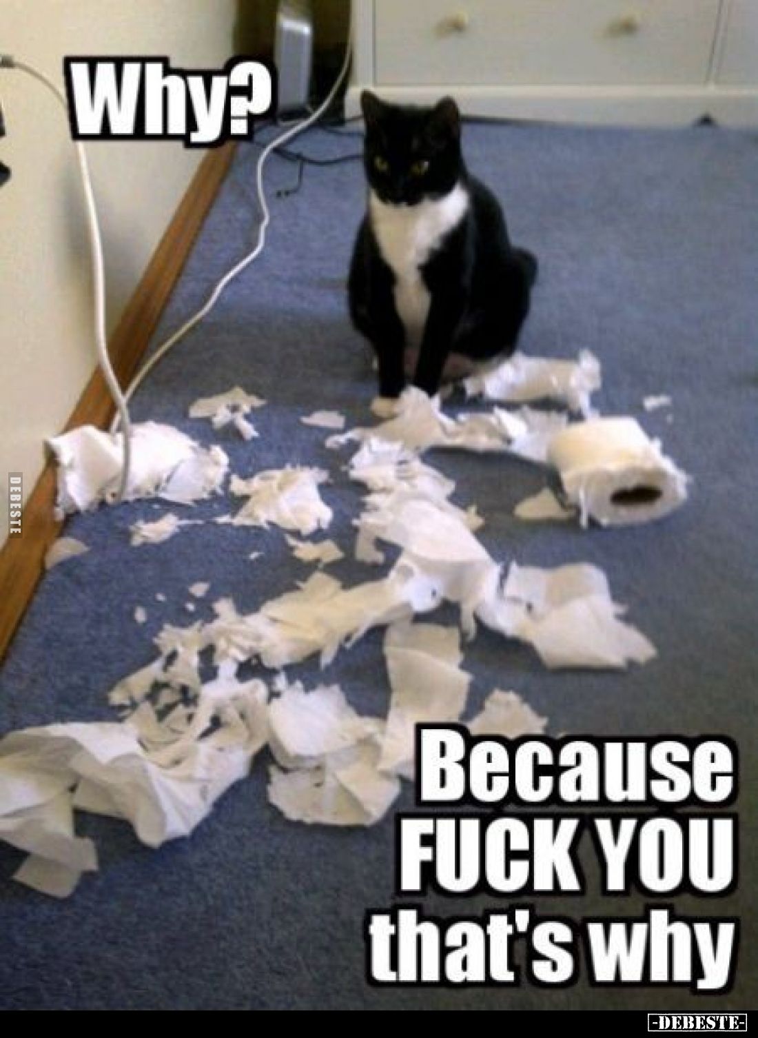 Why?
Because FUCK YOU that's why.