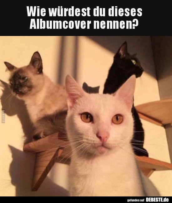 Wie würdest du dieses Albumcover nennen?..