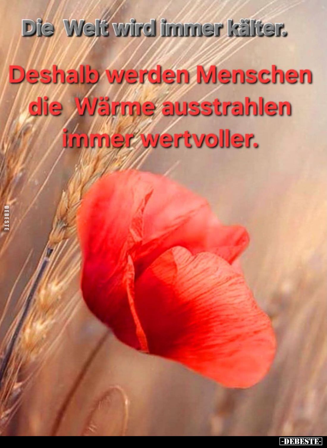 Die Welt wird immer kälter.
Deshalb werden Menschen die Wärme ausstrahlen immer wertvoller.