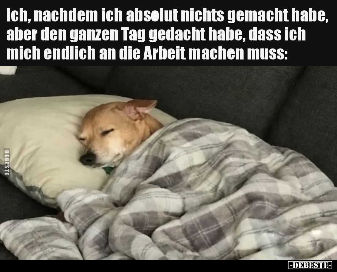 Ich, nachdem ich absolut nichts gemacht habe, aber den.. - Lustige Bilder | DEBESTE.de