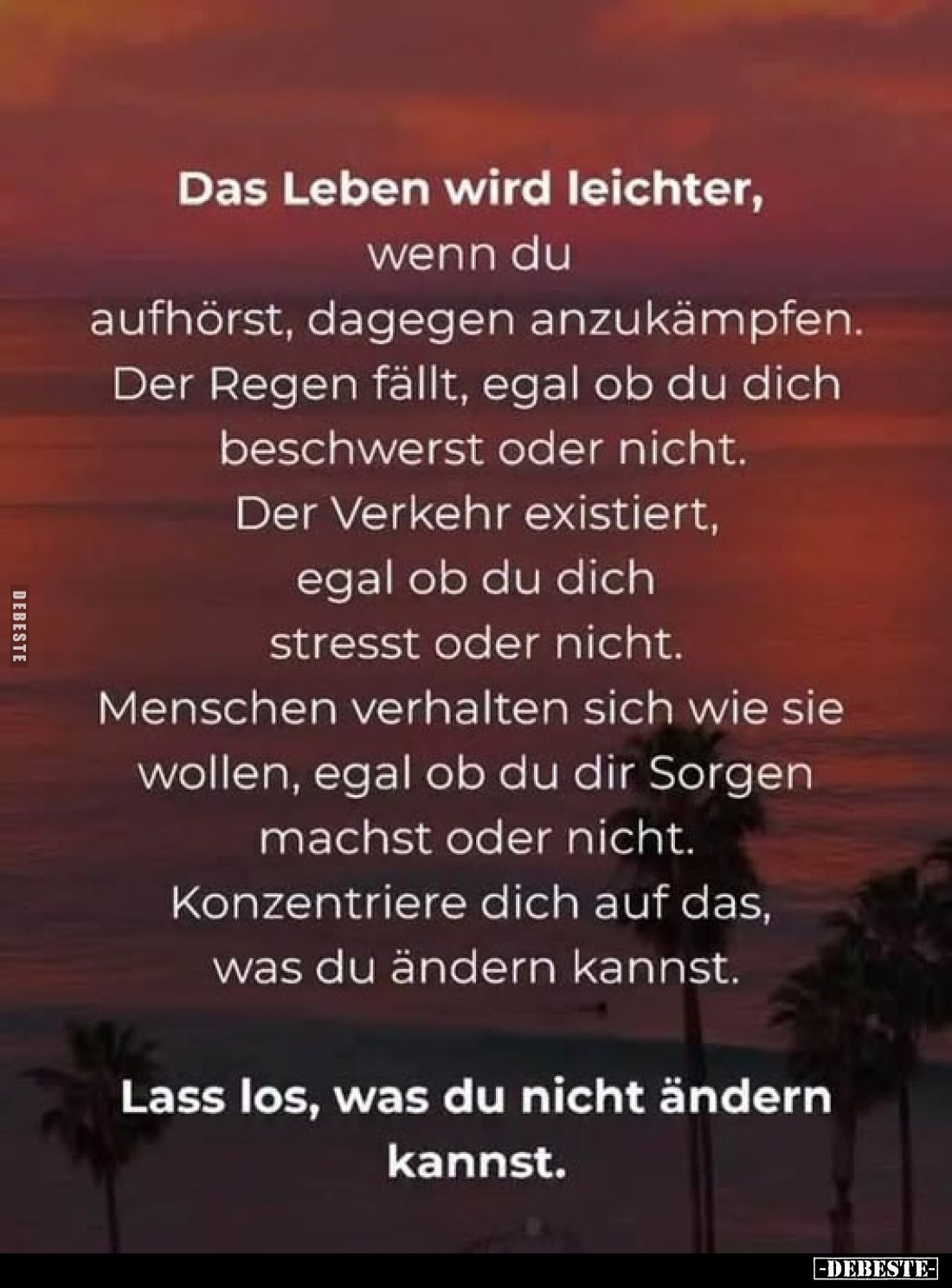 Das Leben wird leichter, wenn du aufhörst, dagegen anzukämpfen.
Der Regen fällt, egal ob du dich beschwerst oder nicht.
Der...