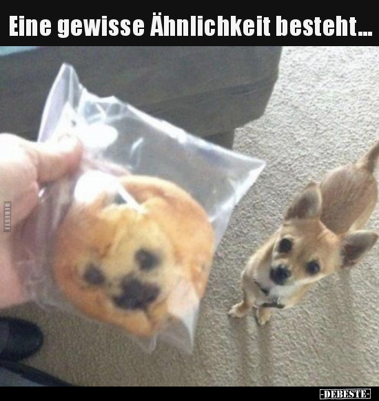 Eine gewisse Ähnlichkeit besteht...