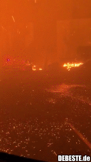 Dies ist das Innere eines Waldbrandes in Carr Forest, Kalifornien.