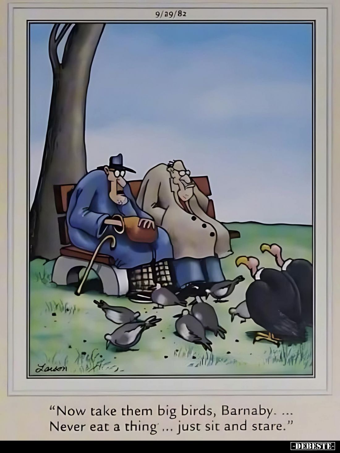 "Now take them big birds, Barnaby. Never eat a thing... just sit and stare."