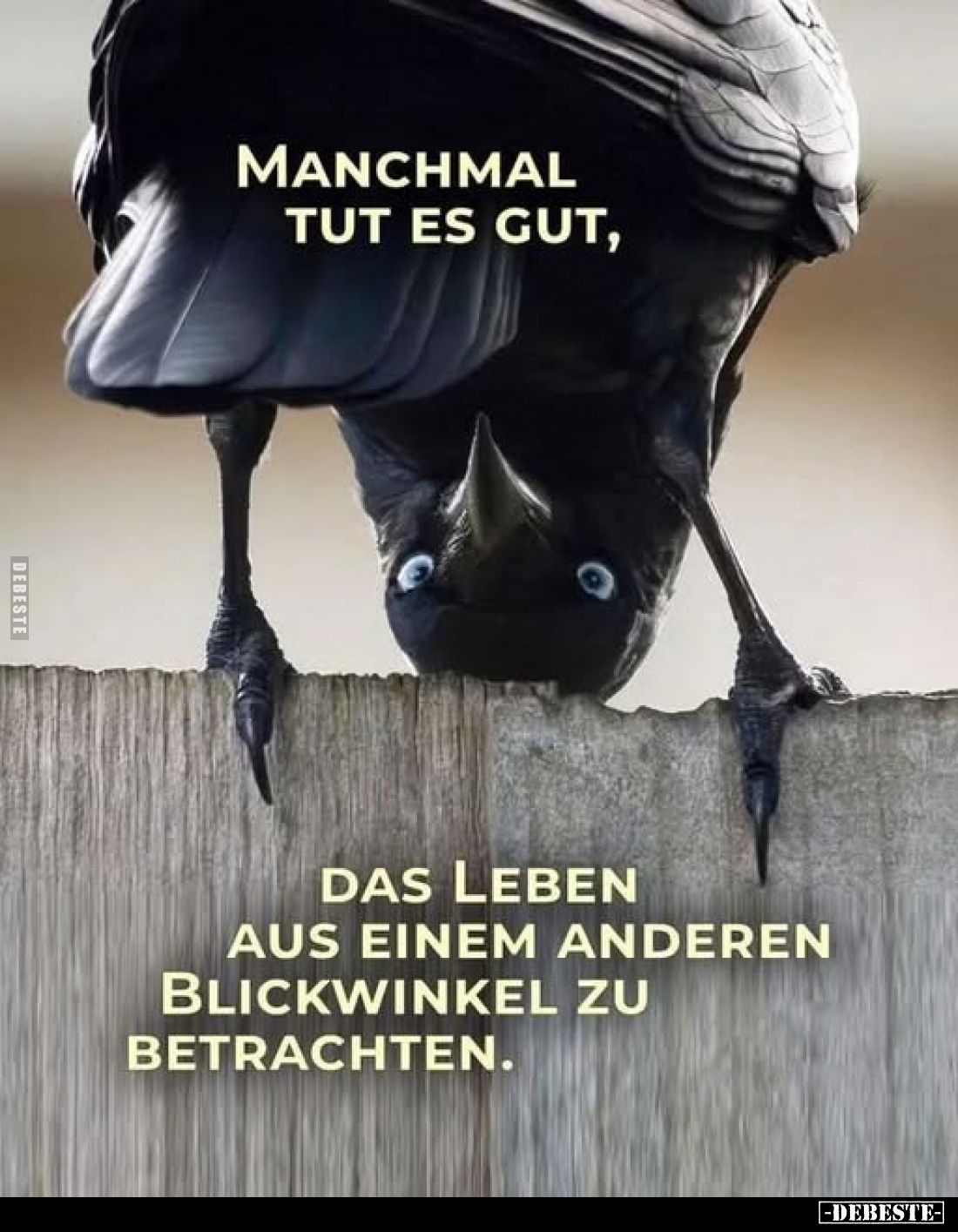 Manchmal tut es gut,
das Leben aus einem anderen Blickwinkel zu betrachten.