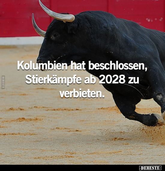 Kolumbien hat beschlossen, Stierkämpfe ab 2028 zu verbieten.. - Lustige Bilder | DEBESTE.de