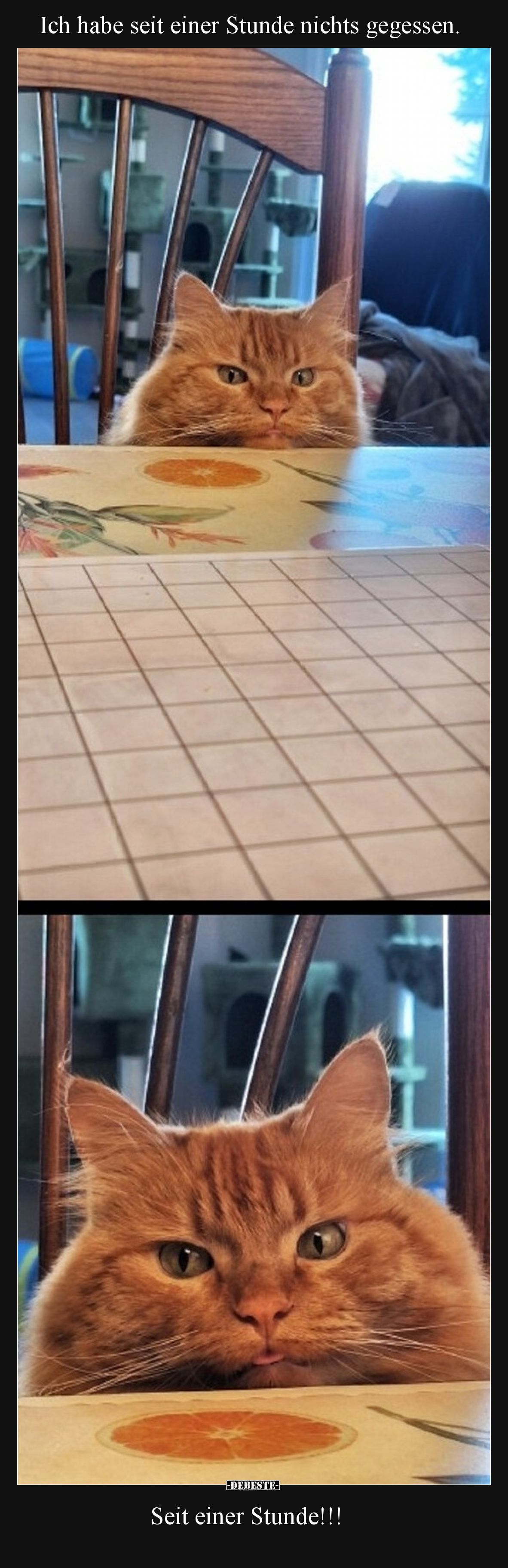 Ich habe seit einer Stunde nichts gegessen... - Lustige Bilder | DEBESTE.de