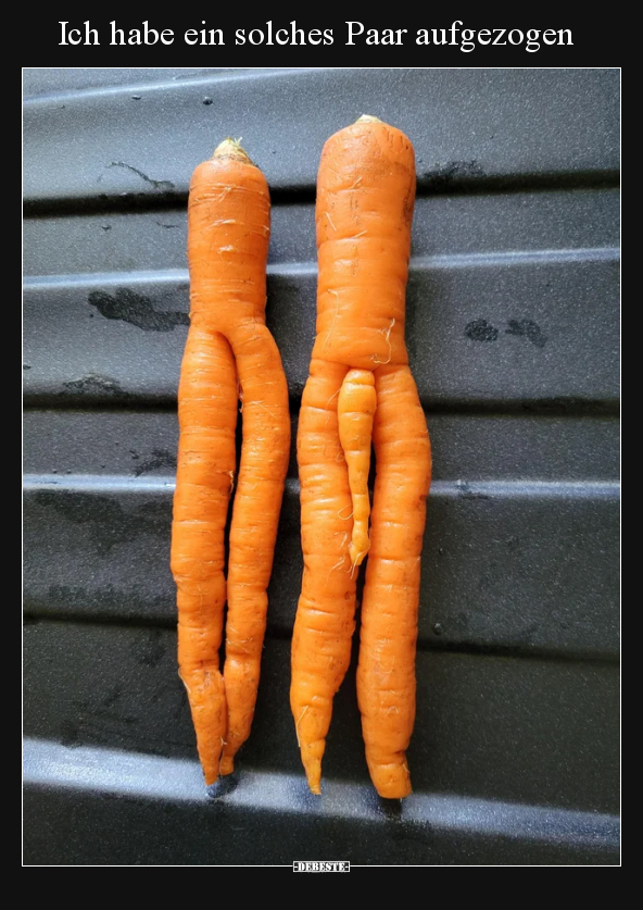 Ich habe ein solches Paar aufgezogen
