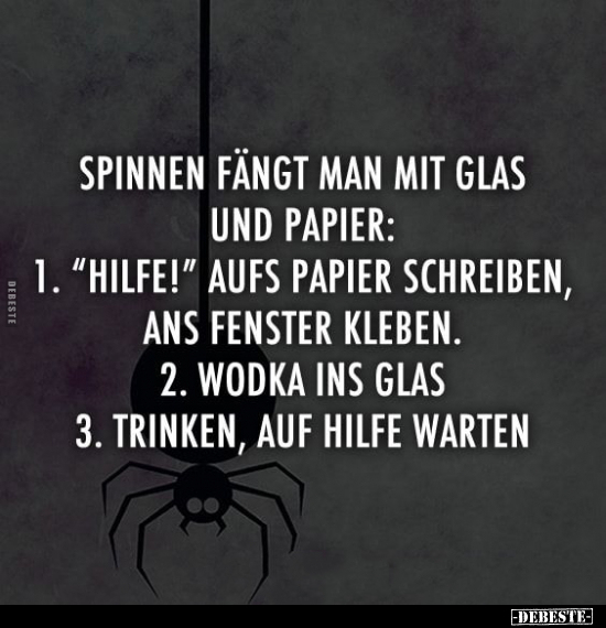 Spinnen fängt Man mit Glas und Papier.. - Lustige Bilder | DEBESTE.de