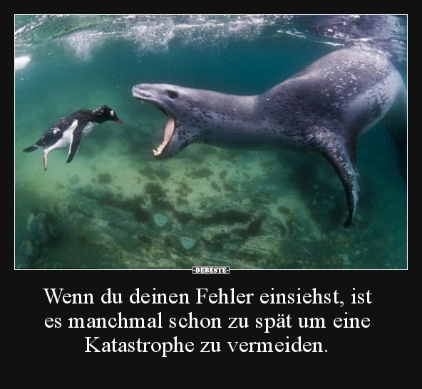 Wenn du deinen Fehler einsiehst, ist es manchmal schon zu..