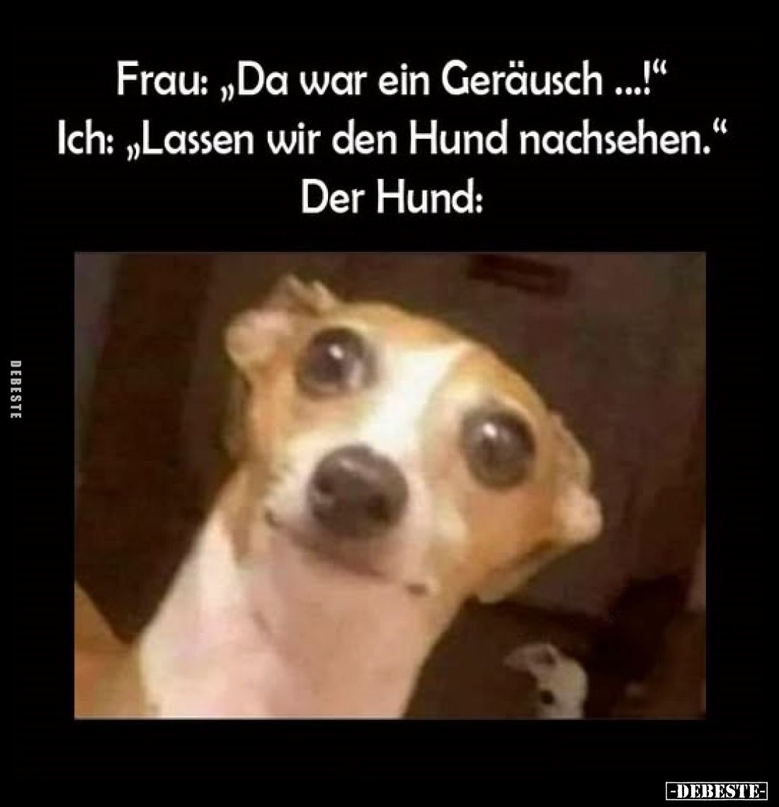 Frau: „Da war ein Geräusch ...!“
Ich: „Lassen wir den Hund nachsehen.“
Der Hund: