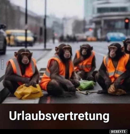 Urlaubsvertretung.. - Lustige Bilder | DEBESTE.de