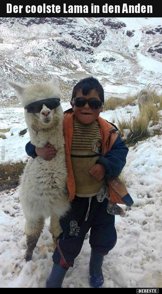 Der coolste Lama in den Anden.. - Lustige Bilder | DEBESTE.de