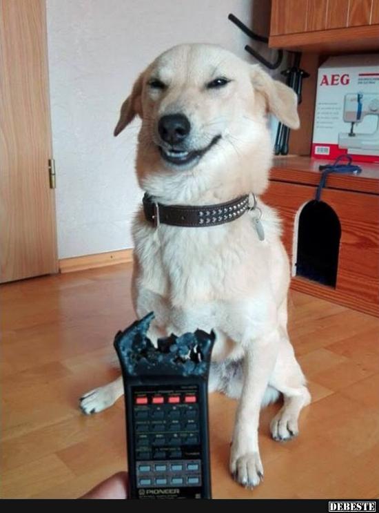 Hehe :D... dieser Blick!  - Lustige Bilder | DEBESTE.de