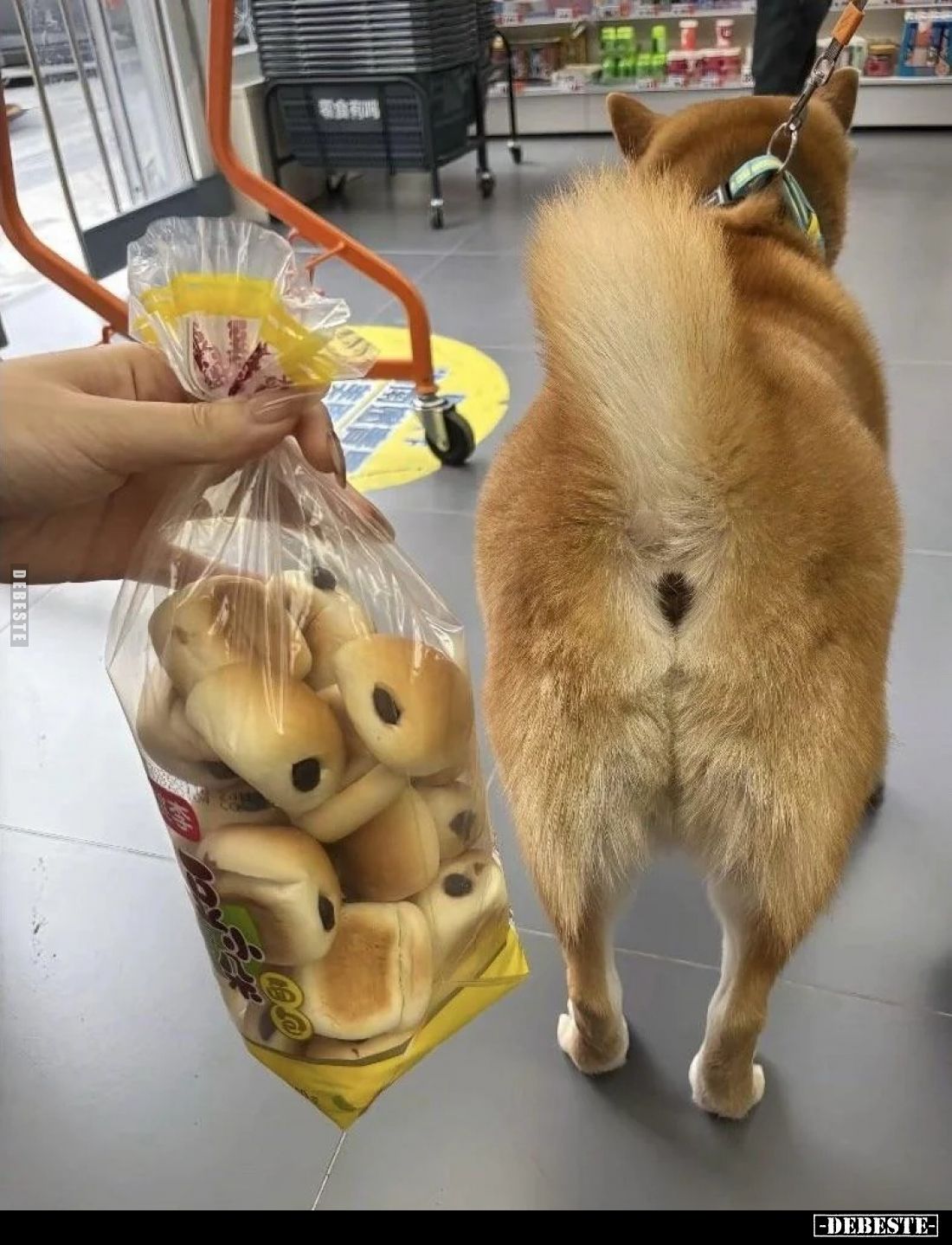  - Lustige Bilder | DEBESTE.de