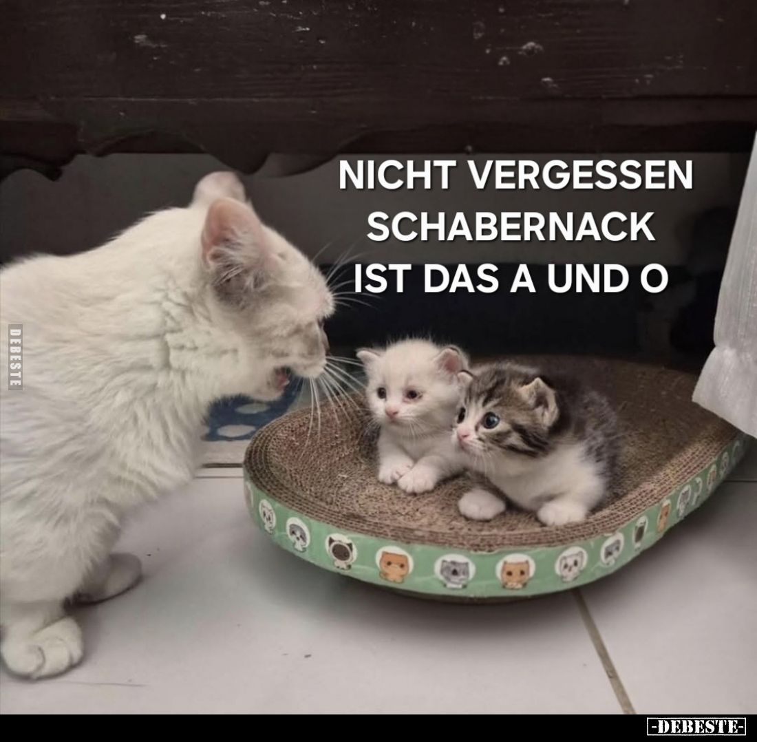 Nicht vergessen, Schabernack ist das A und O.