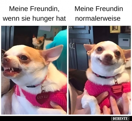 Meine Freundin, wenn sie hunger hat.. - Lustige Bilder | DEBESTE.de