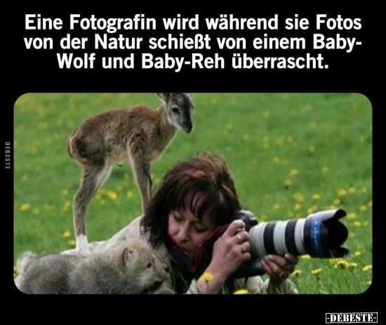 Eine Fotografin wird während sie Fotos von der Natur.. - Lustige Bilder | DEBESTE.de
