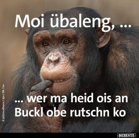 Moi übaleng,... ...wer ma heid ois an Buckl obe rutschn ko.