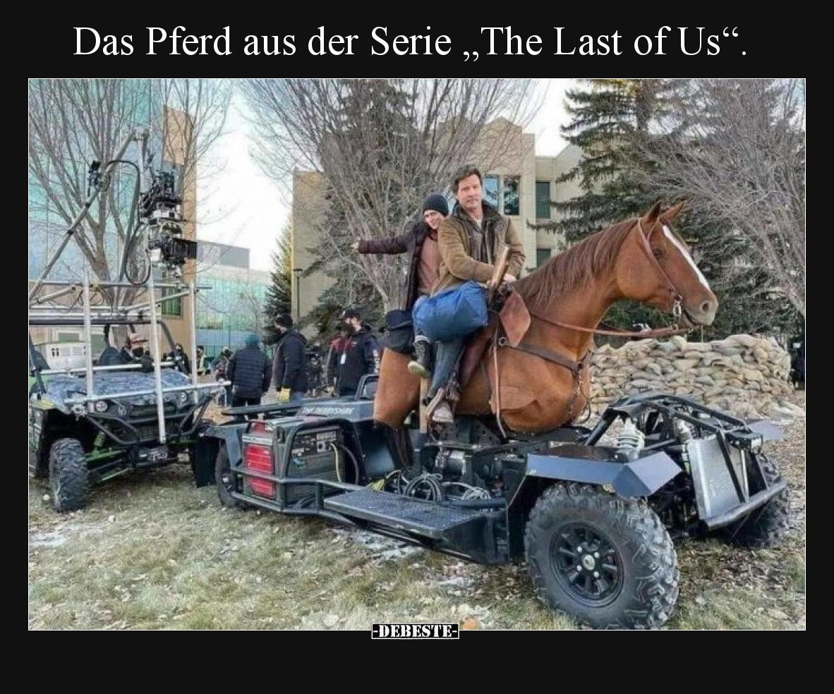 Das Pferd aus der Serie „The Last of Us“.