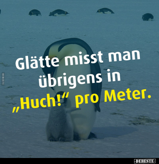 Glätte misst man übrigens in "Huch!" pro Meter!.. - Lustige Bilder | DEBESTE.de