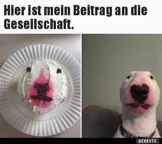 Hier ist mein Beitrag an die Gesellschaft...