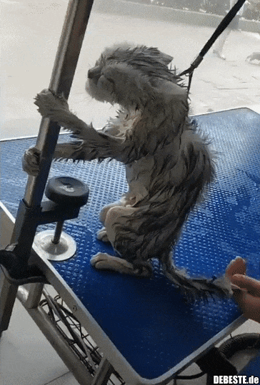 Ich werde Dich töten!