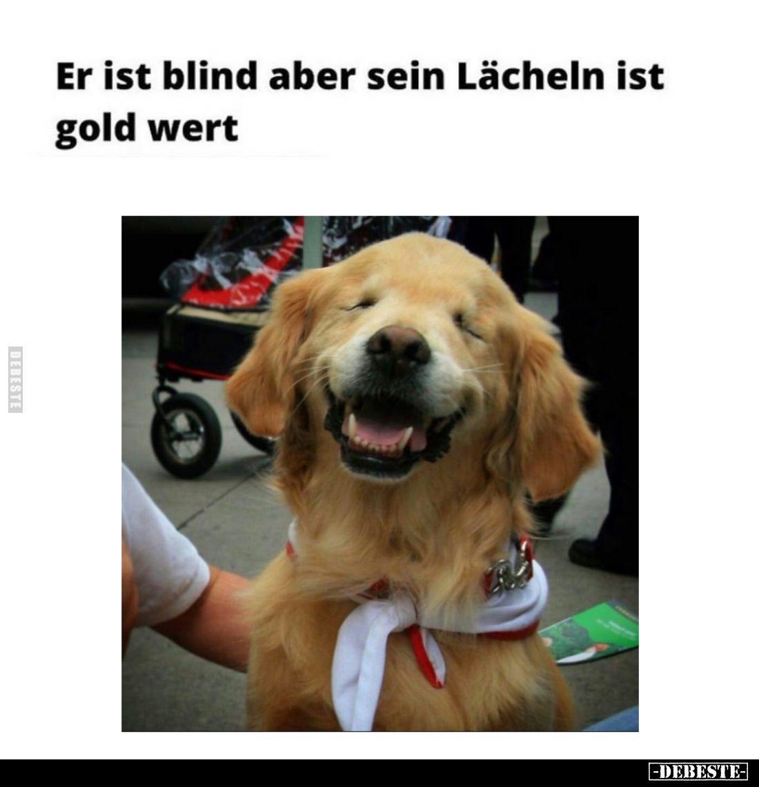Er ist blind aber sein Lächeln ist Gold wert.