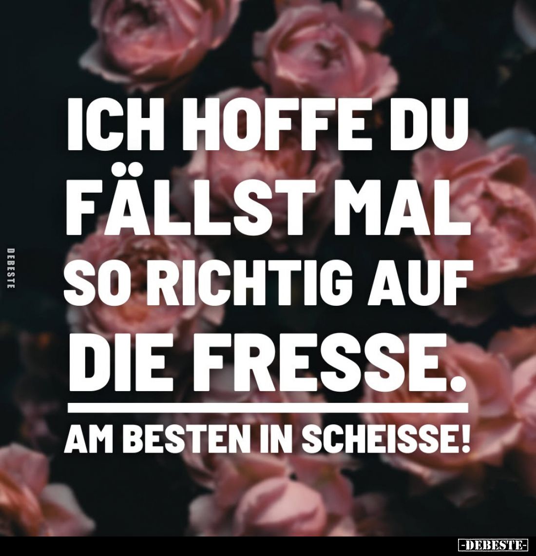 Ich hoffe du
fällst mal
so richtig auf
die Fresse.
Am besten in Scheisse!