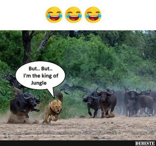 Aber dieses Mal nicht...