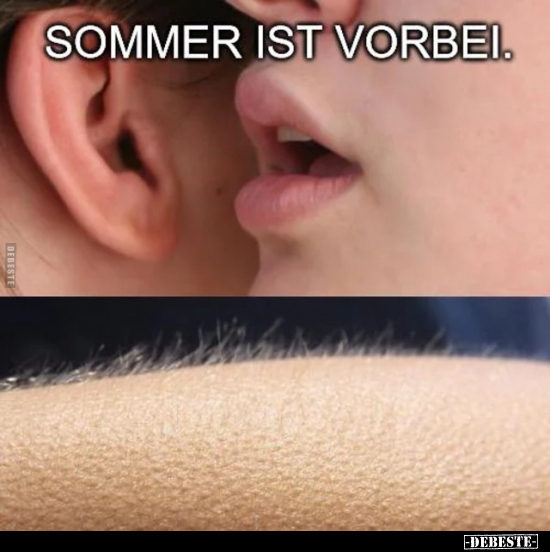 Sommer ist vorbei... - Lustige Bilder | DEBESTE.de