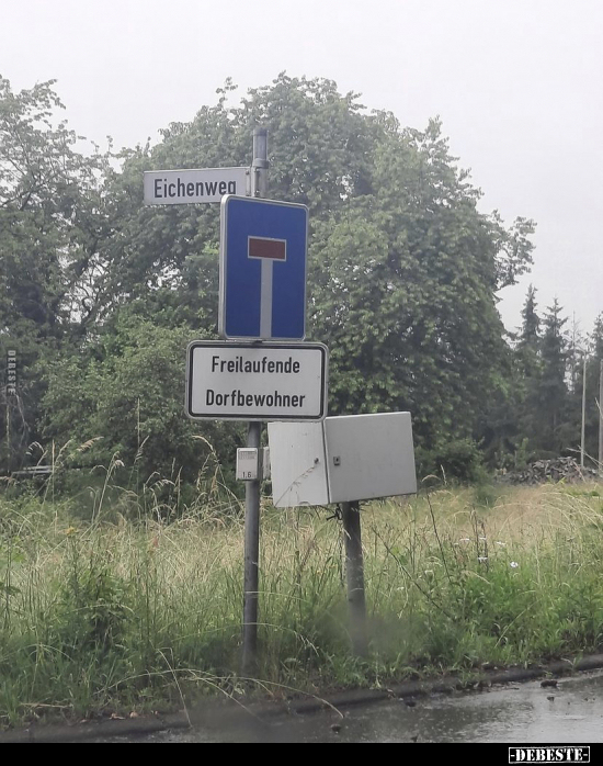  - Lustige Bilder | DEBESTE.de