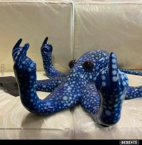  - Lustige Bilder | DEBESTE.de