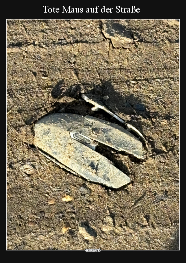 Tote Maus auf der Straße.. - Lustige Bilder | DEBESTE.de
