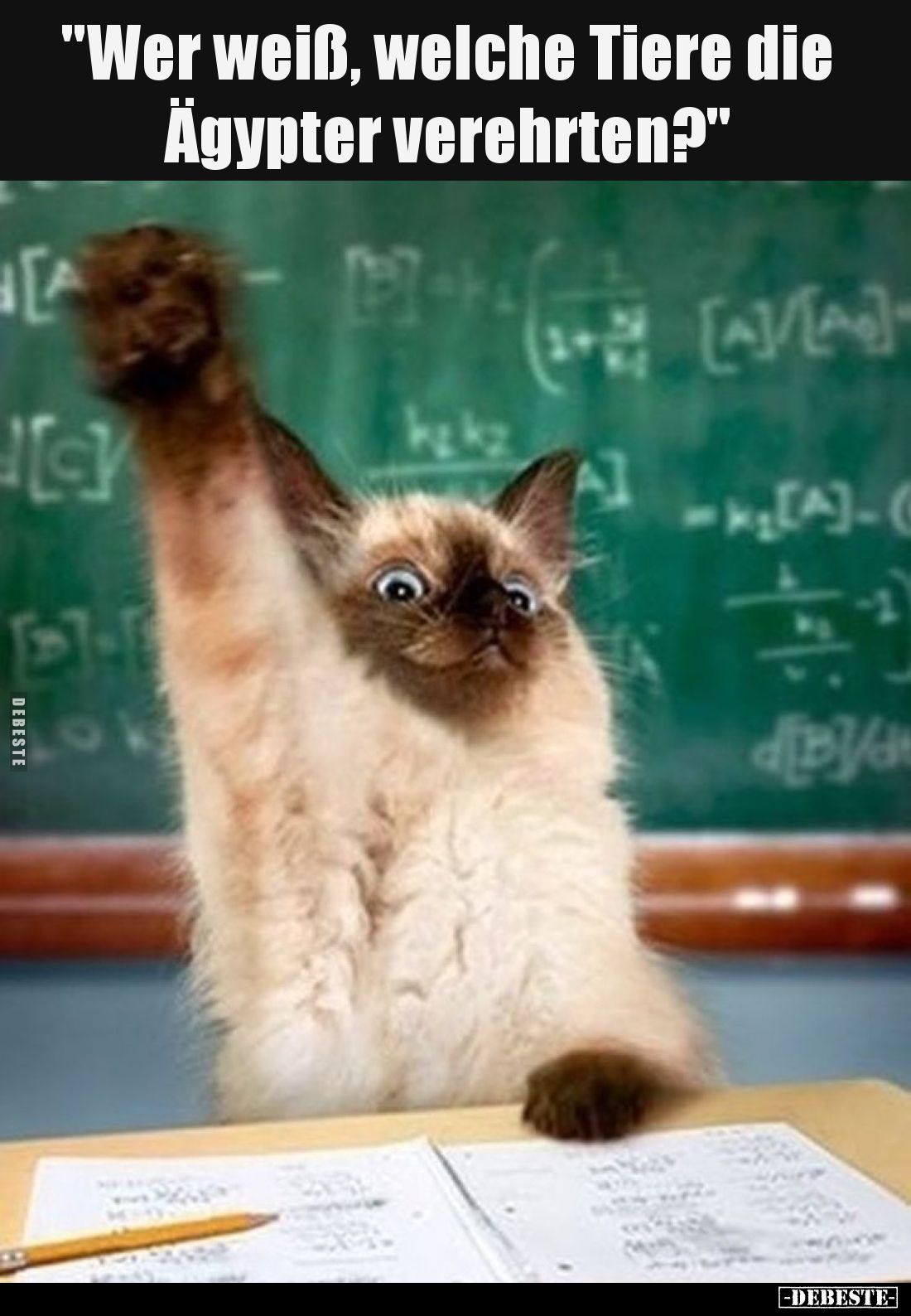 Wer weiß, welche Tiere die Ägypter verehrten?