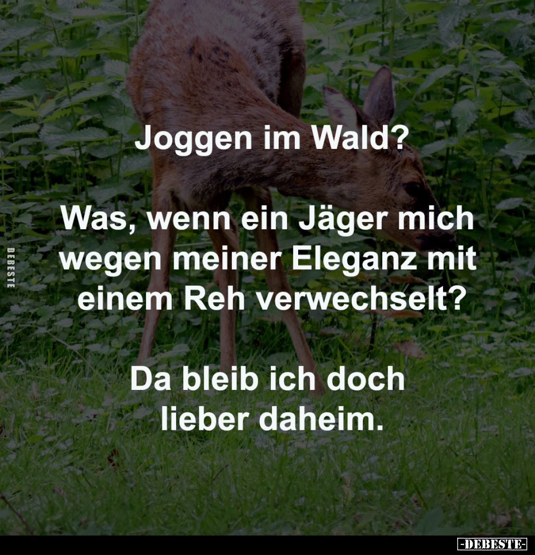 Joggen im Wald?

Was, wenn ein Jäger mich 
wegen meiner Eleganz mit 
einem Reh verwechselt?

Da bleib ich doch 
lieber...