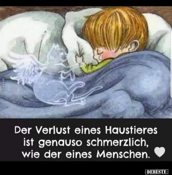 Der Verlust eines Haustieres ist genauso schmerzlich, wie.. - Lustige Bilder | DEBESTE.de